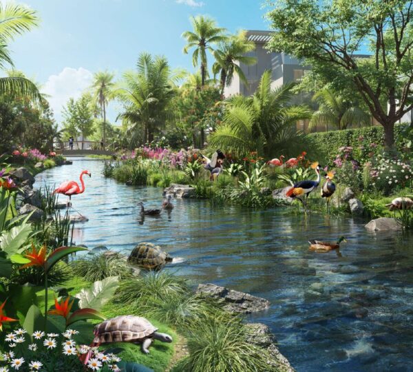 10-tortoise Garden